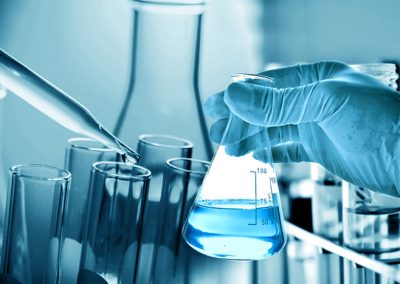 Création de site internet pour organisation scientifique